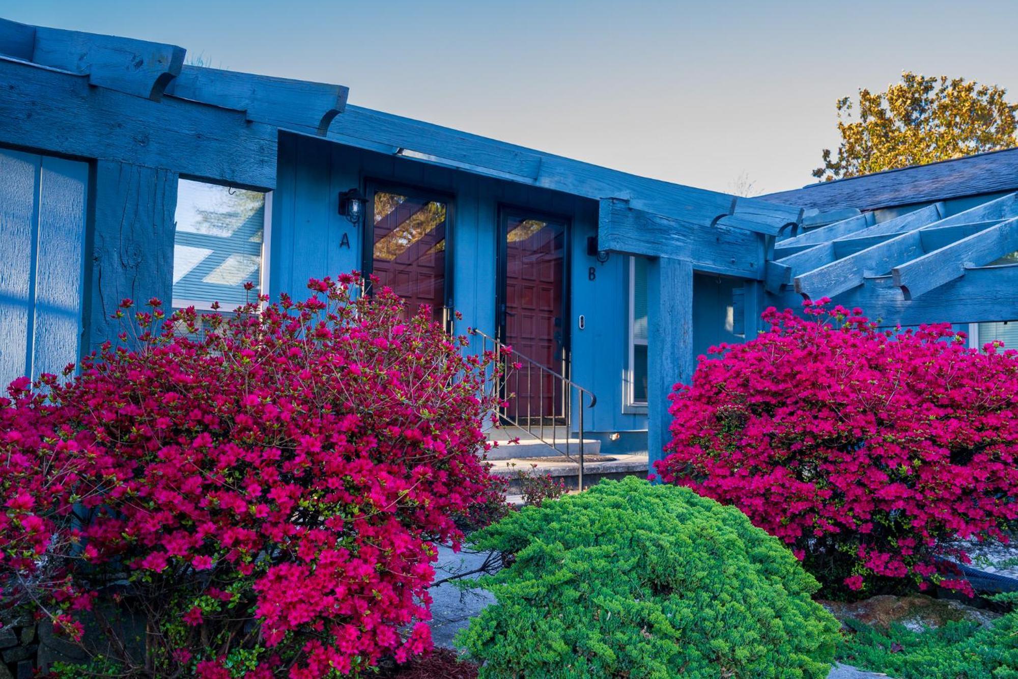 Hendo Hideaway A 2Bed/1Bath Daire Hendersonville Dış mekan fotoğraf